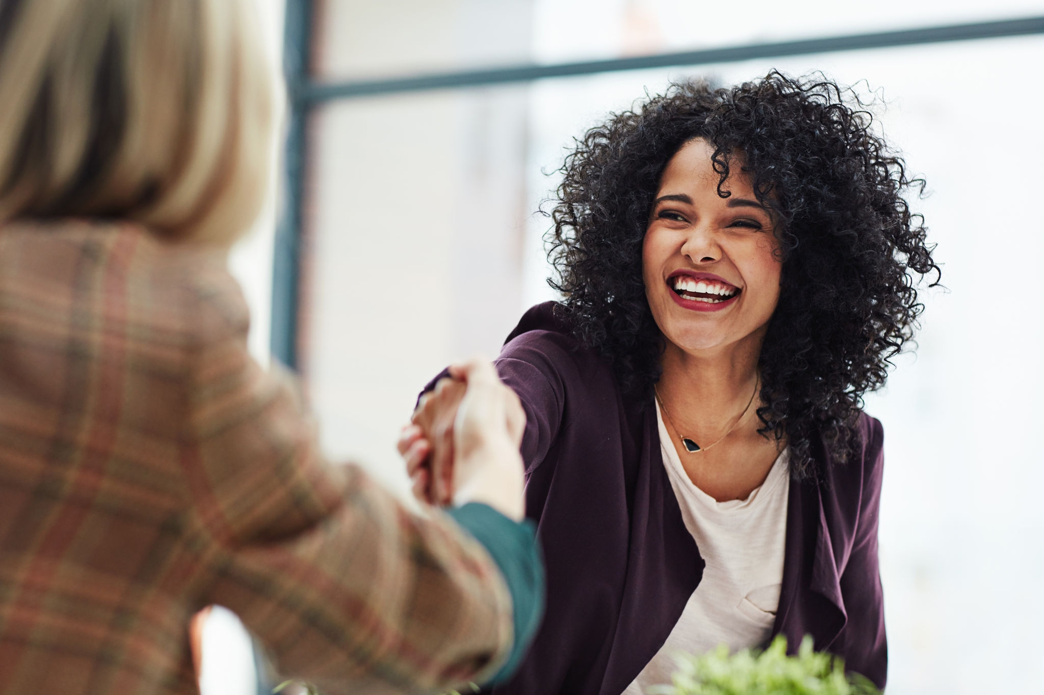 Female colleagues shaking hands in the boardroom