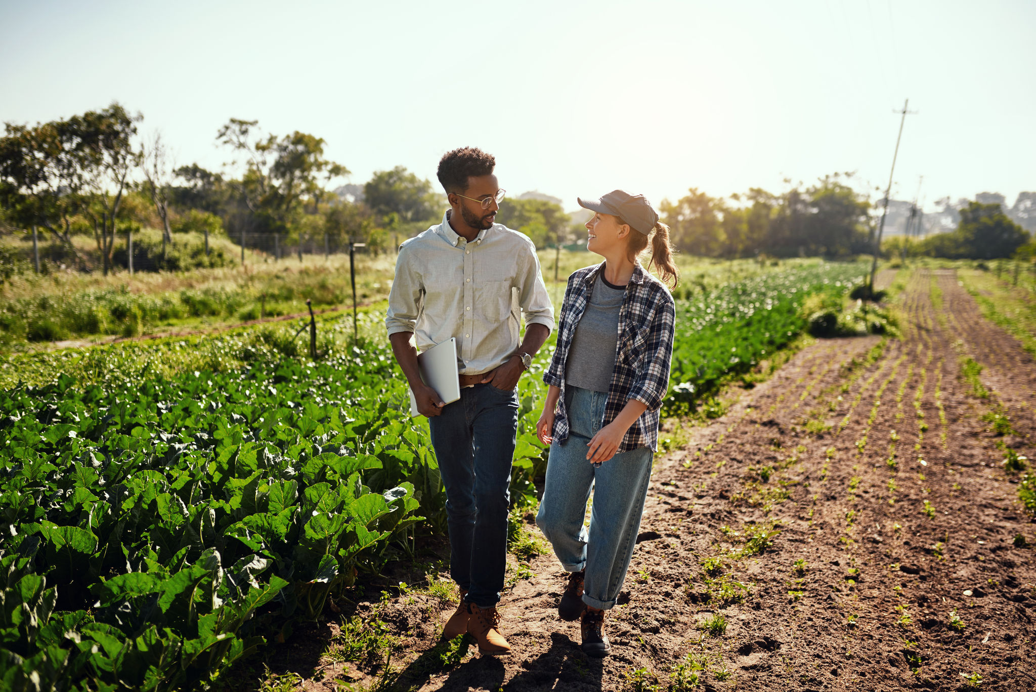 Agriculture manager and farmer meeting, talking and discussing while walking on a farm outside. Planning strategy for harvest season in an eco friendly, organic and sustainable farming industry.